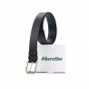 Men belt 31b biz cafe